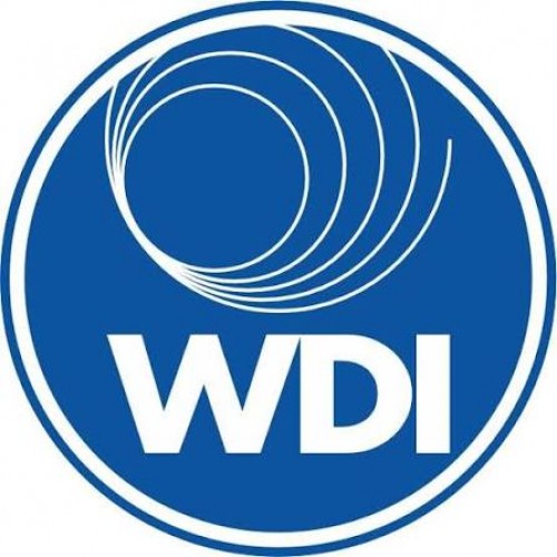 Westfälische Drahtindustrie GmbH (WDI) Westfälische Drahtindustrie GmbH (WDI)